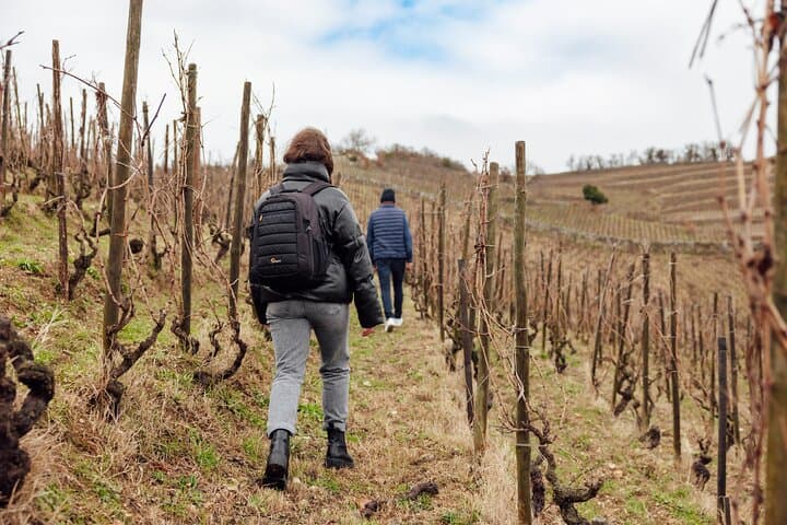 Private Hermitage Wine Hike from Lyon with Valrhona Chocolate and Winery Tasting