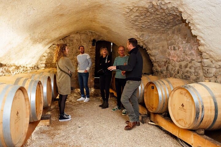 Private Hermitage Wine Hike from Lyon with Valrhona Chocolate and Winery Tasting photo 5