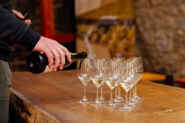 Private Hermitage Wine Hike from Lyon with Valrhona Chocolate and Winery Tasting photo 4