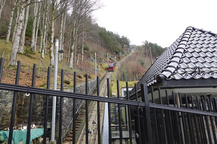 Experience Bergen’s Mt. Fløyen: Scenic Hiking and Iconic Funicular Ride photo 3