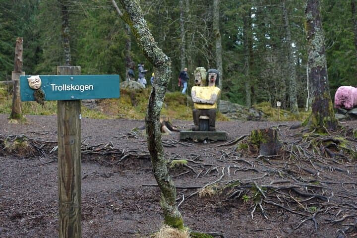 Experience Bergen’s Mt. Fløyen: Scenic Hiking and Iconic Funicular Ride photo 5