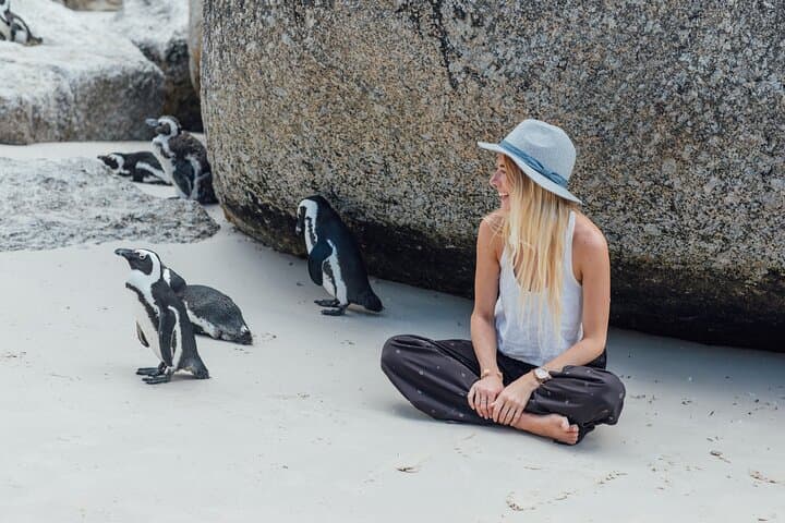 Cape of Good Hope & Boulders Beach Penguin Tour — Cape Town Instagram Day Trip