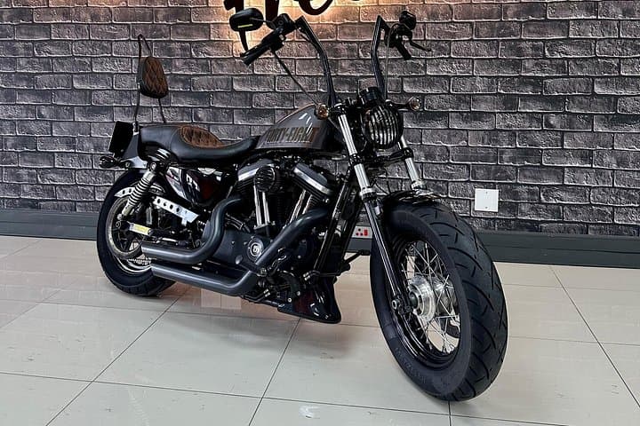 Harley‑Davidson Rentals Cape Town: Ride Chapmans Peak to the Cape Winelands photo 3