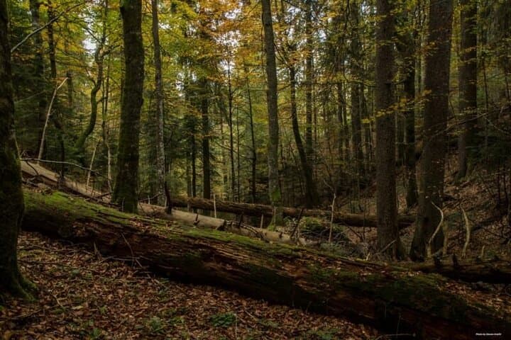Hike Janj Rainforest & Vagan Cave: Day Trip from Banja Luka photo 5