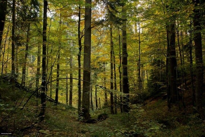 Hike Janj Rainforest & Vagan Cave: Day Trip from Banja Luka photo 6