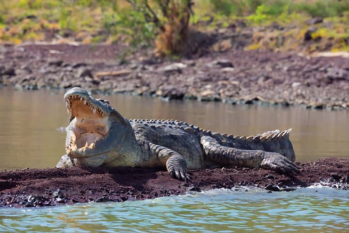 Two-Day Safari in Awash National Park, Ethiopia — Waterfalls, Gorges & Wildlife photo 2