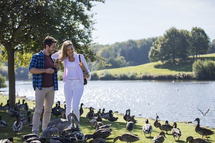 Leeds Castle, Canterbury Cathedral and White Cliffs Day Trip from London photo 6
