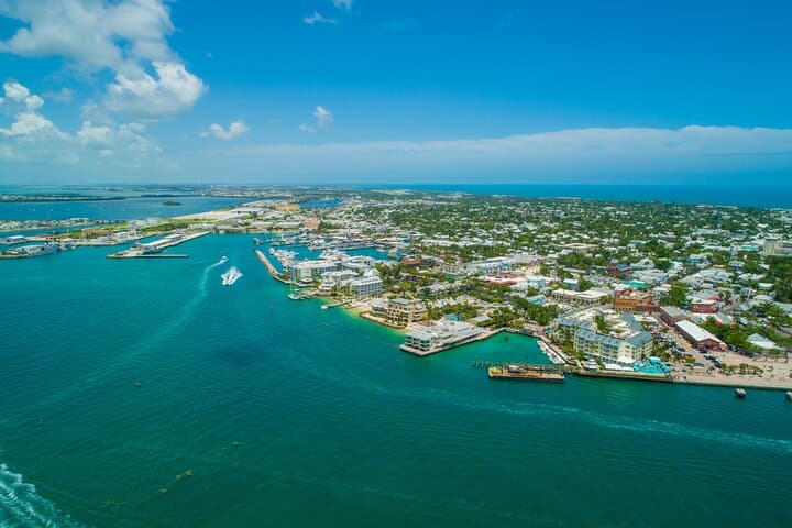Private Key West Dolphin Safari — Vitamin Sea Charter (4-Hour Private Boat) photo 1