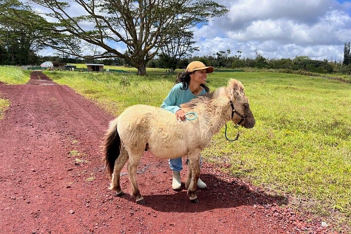 Ola Nani Ranch Tour: Big Island Rainforest Ranch & Animal Encounters