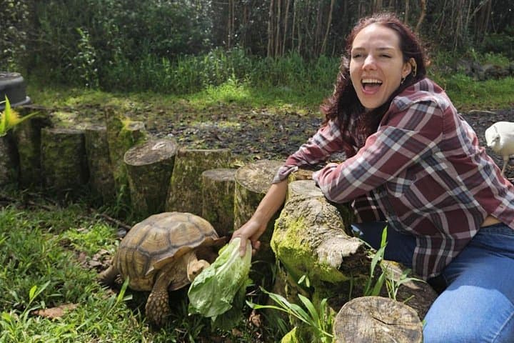 Ola Nani Ranch Tour: Big Island Rainforest Ranch & Animal Encounters photo 2