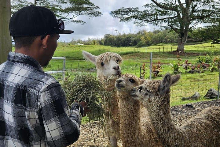 Ola Nani Ranch Tour: Big Island Rainforest Ranch & Animal Encounters photo 4