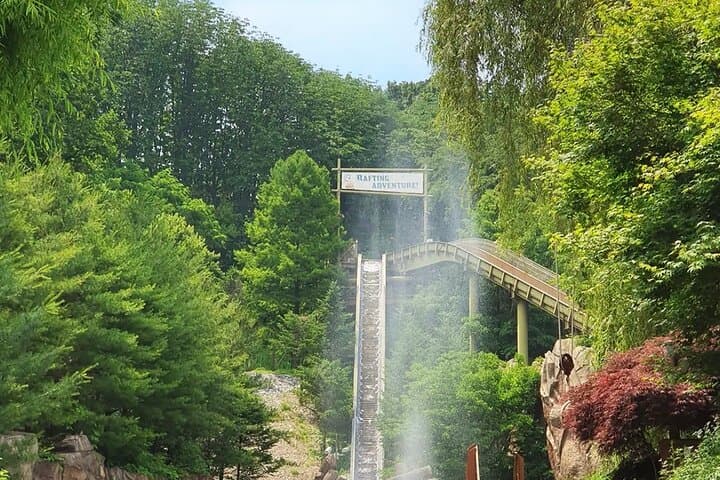 Everland Theme Park: Complete Day Guide to T Express, Zootopia & Festivals