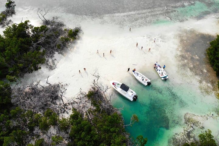 Private Key West Fishing and Snorkeling Charter: Exploring Coral Reefs and Sandbars photo 4