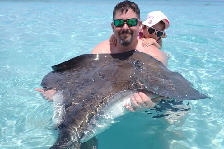 Stingray City Sandbar Experience — Hands-On Stingray Encounter in Grand Cayman