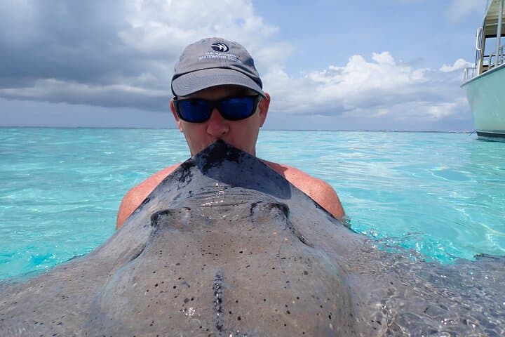 Stingray City Sandbar Experience — Hands-On Stingray Encounter in Grand Cayman photo 4