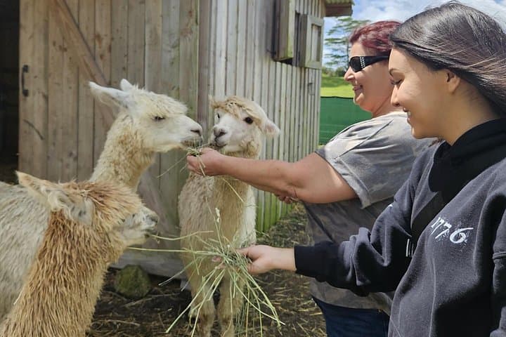 Ola Nani Ranch Tour: Big Island Rainforest Ranch & Animal Encounters photo 5