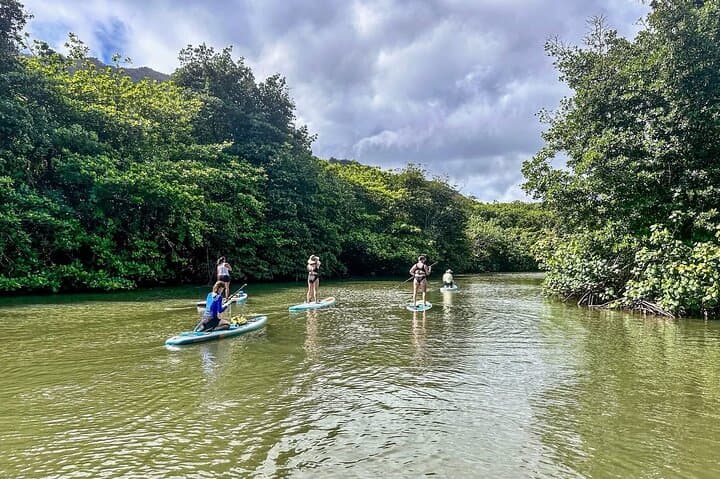 Stand-Up Paddle Boarding on Windward Oahu: Kahana Stream SUP Adventure photo 3