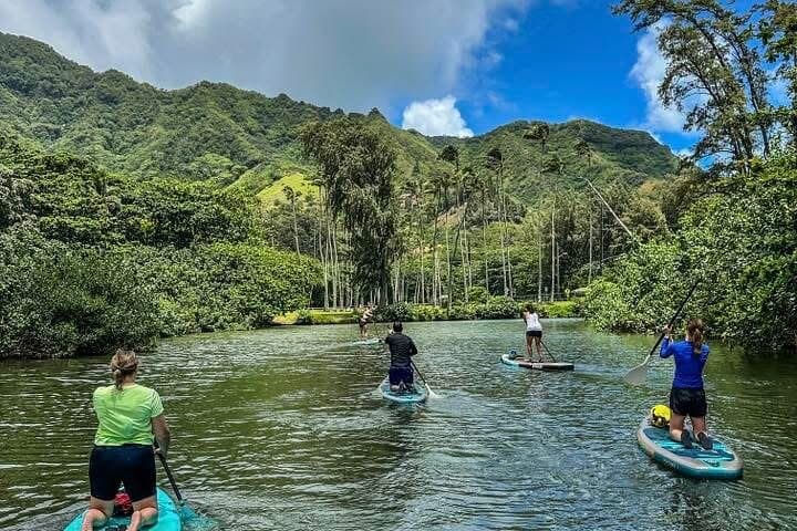 Stand-Up Paddle Boarding on Windward Oahu: Kahana Stream SUP Adventure photo 4