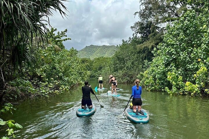 Stand-Up Paddle Boarding on Windward Oahu: Kahana Stream SUP Adventure photo 5