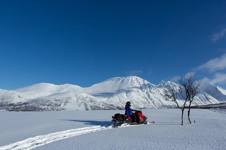 Lyngen Alps Snowmobile Adventure from Tromsø: Full-Day Arctic Ride with Lunch photo 4