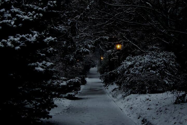 Chapel Hill True Crime Walking Tour: Explore the Town’s Most Unnerving Cases photo 5