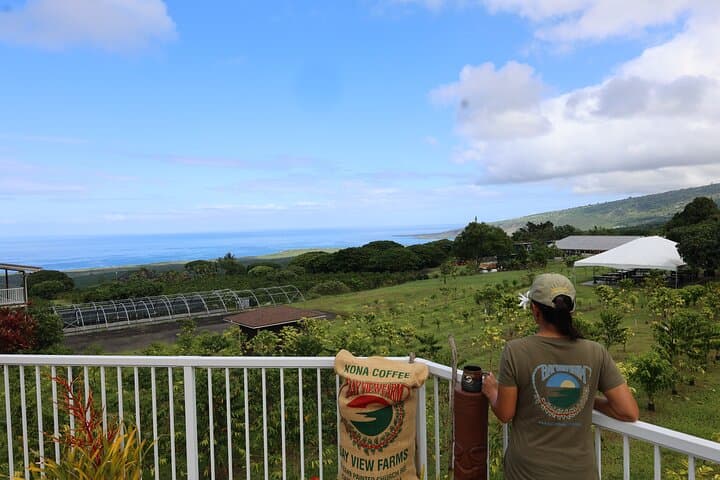 Kona Coffee Farm Tour: From Tree to Tasting Room