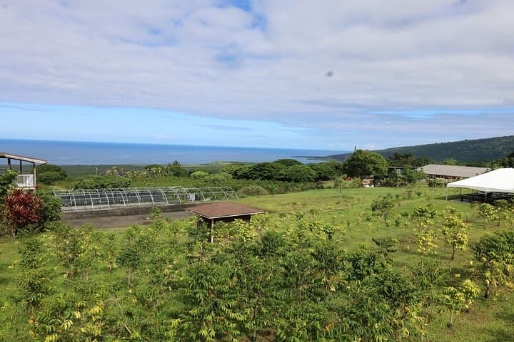 Kona Coffee Farm Tour: From Tree to Tasting Room photo 2