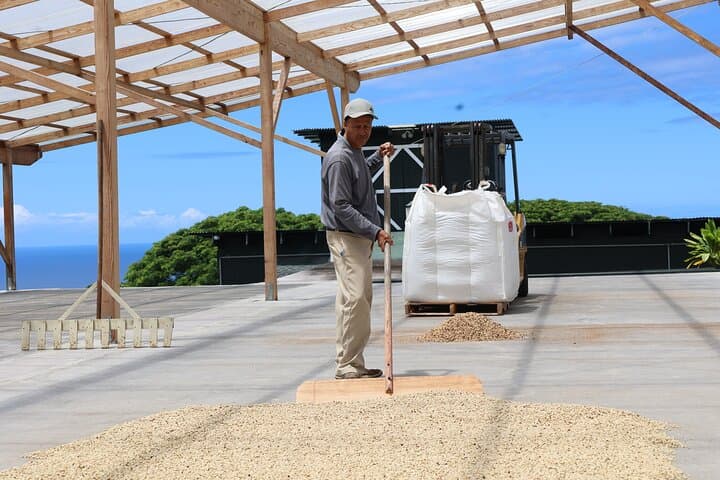 Kona Coffee Farm Tour: From Tree to Tasting Room photo 4