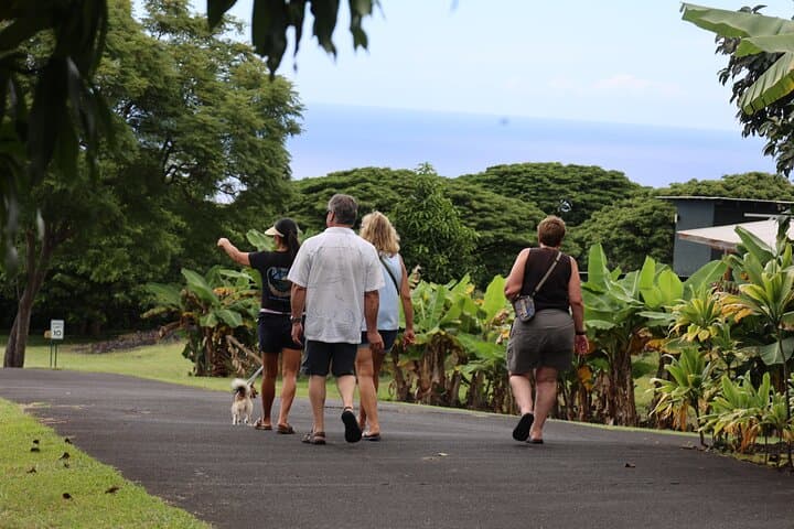 Kona Coffee Farm Tour: From Tree to Tasting Room photo 5