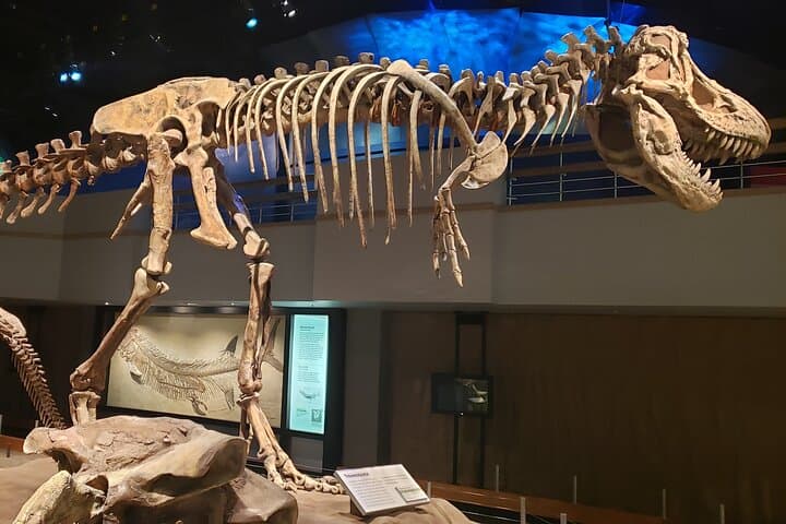 Drumheller Badlands Day Trip from Calgary — Royal Tyrrell, Hoodoos & Horseshoe Canyon photo 4