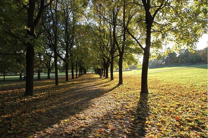 Run Oslo: 10K Guided City Run Past Royal Palace & Vigeland Park photo 4