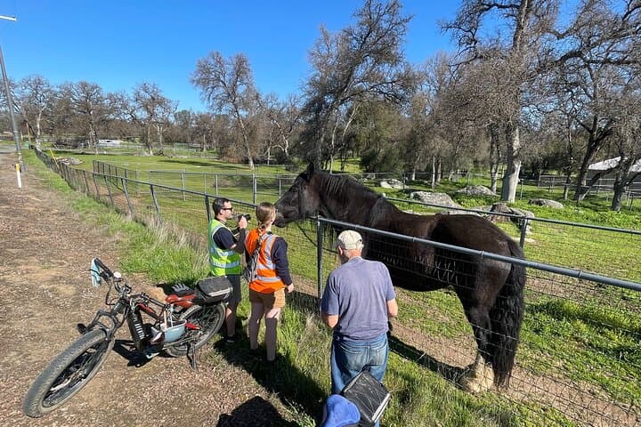 Full-Day E-Bike and Gold Panning Tour in Mariposa — 27-Mile Sierra Foothills Ride photo 4
