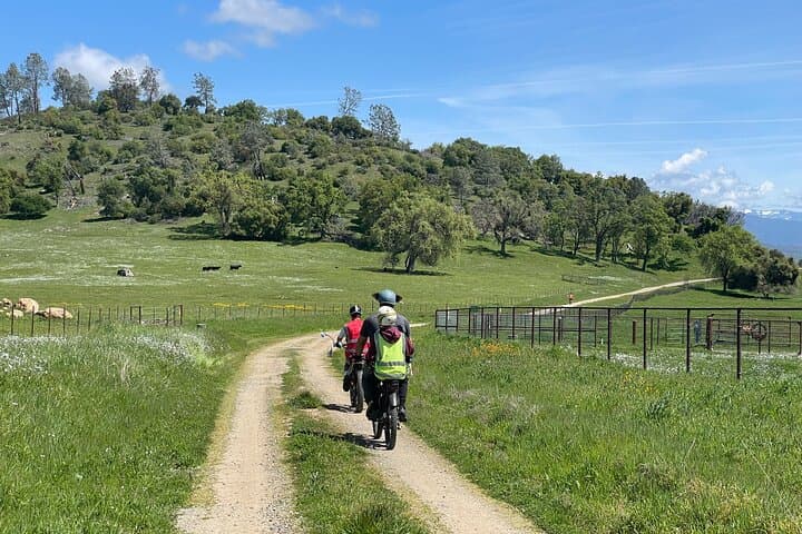 Full-Day E-Bike and Gold Panning Tour in Mariposa — 27-Mile Sierra Foothills Ride photo 6