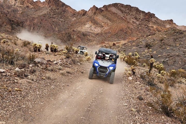 Eldorado Canyon RZR Adventure: Ghost Town, Gold Mine & Colorado River Tour photo 1