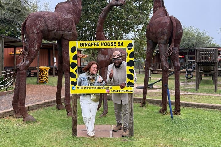 Full-Day Cheetah Outreach, Stellenbosch & Giraffe House Tour — Wine, Wildlife and Cape History photo 6