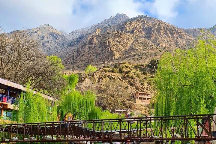 Ourika Valley Waterfalls & Atlas Mountains Private Day Trip from Marrakech
