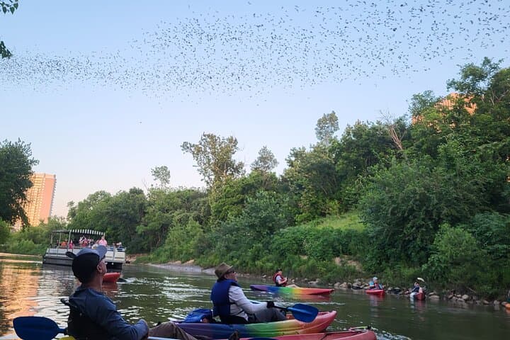 Houston Buffalo Bayou Bat and Skyline Kayak Tour — Evening Paddle Under the Bats photo 2
