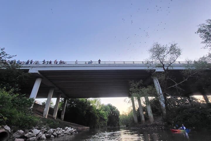 Houston Buffalo Bayou Bat and Skyline Kayak Tour — Evening Paddle Under the Bats photo 4