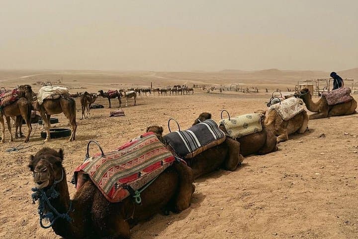 Private Agafay Desert ATV, Camel Ride & Berber Camp from Marrakech photo 5