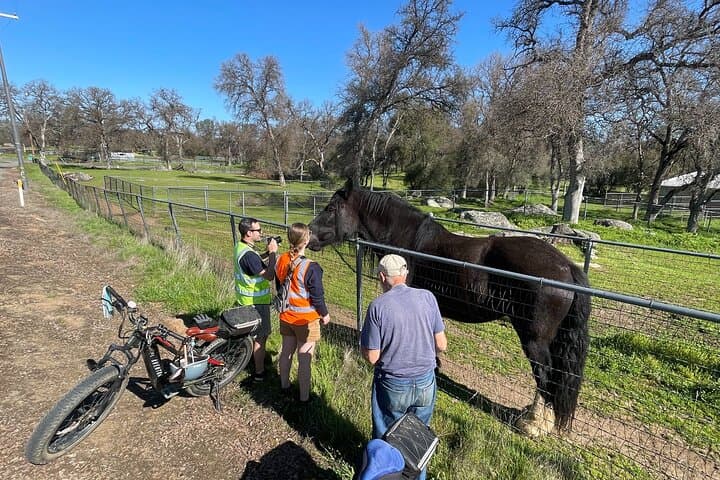 Full-Day E-Bike and Rock Climbing Tour — Mariposa County Adventure photo 6