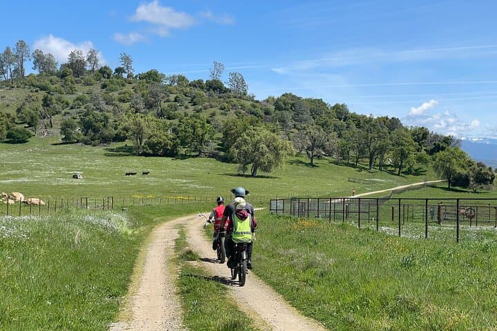 Full-Day E-Bike and Rock Climbing Tour — Mariposa County Adventure photo 5