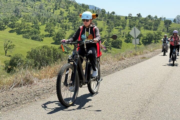Full-Day E-Bike and Rock Climbing Tour — Mariposa County Adventure