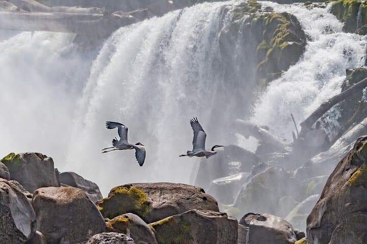 Willamette River Scenic Cruise to Willamette Falls — 2-Hour Private Boat Tour in Portland photo 2