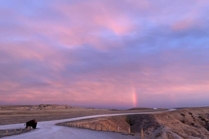 Badlands Alive: Full-Day Guided Exploration of South Dakota’s Badlands photo 4