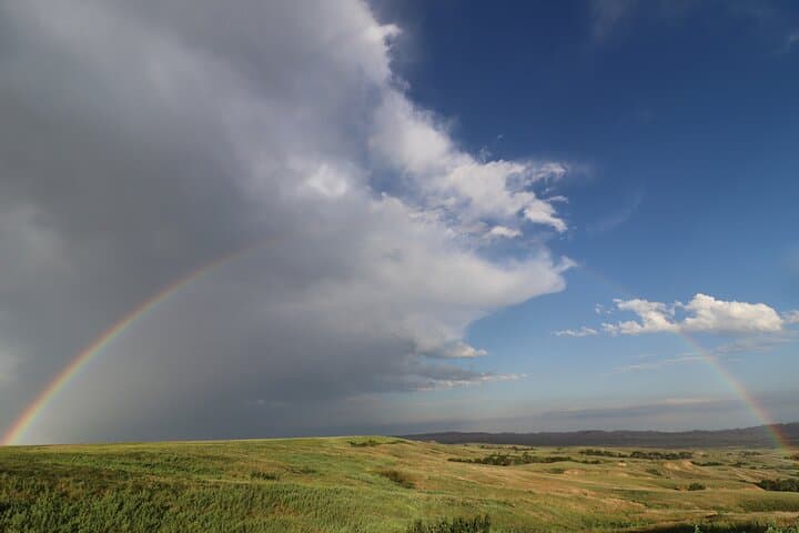 Badlands Alive: Full-Day Guided Exploration of South Dakota’s Badlands photo 6
