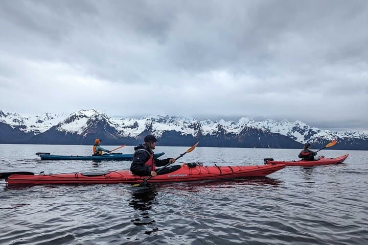 Paddle Resurrection Bay: Kayak to Waterfalls & Rainforest from Seward photo 2