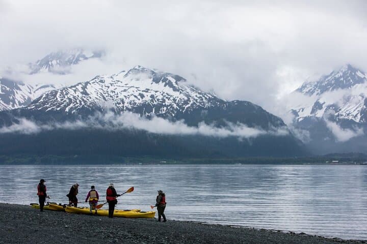 Paddle Resurrection Bay: Kayak to Waterfalls & Rainforest from Seward photo 3