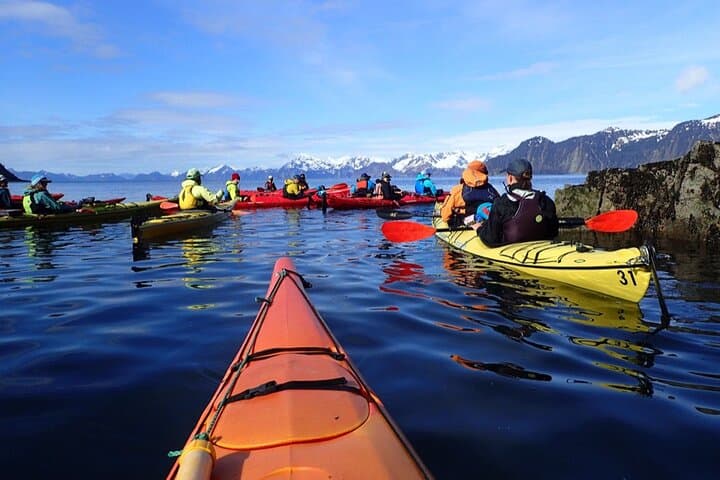 Paddle Resurrection Bay: Kayak to Waterfalls & Rainforest from Seward photo 4
