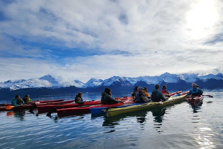 Paddle Resurrection Bay: Kayak to Waterfalls & Rainforest from Seward photo 5