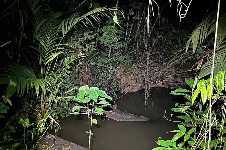 Night Hike on Pipeline Road: Soberania National Park After Dark photo 5